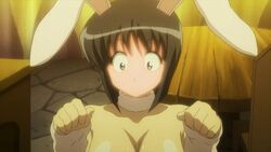 Zero No Tsukaima Siesta Zero No Tsukaima Siesta